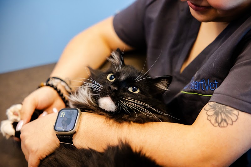 HeartVet