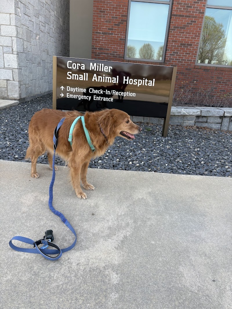 UGA Veterinary Teaching Hospital - Athens