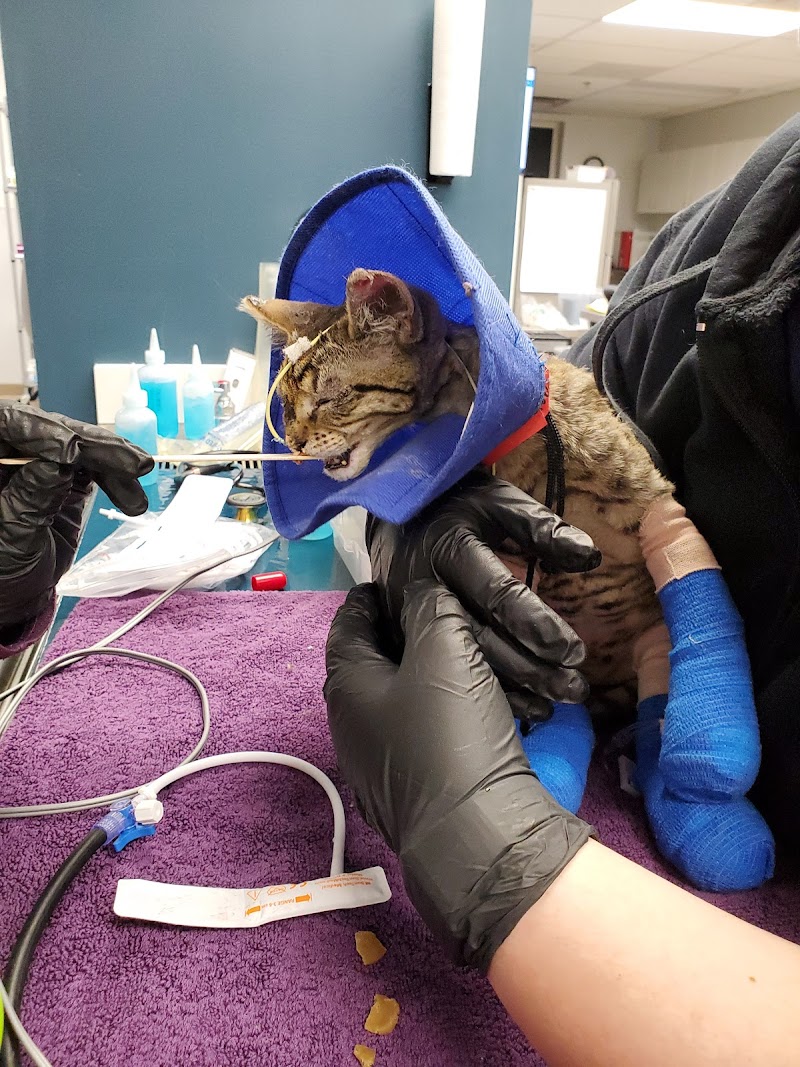 Puget Sound Veterinary Specialty & Emergency