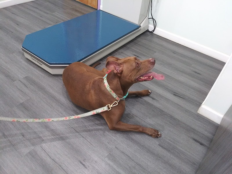 Pet Health Center