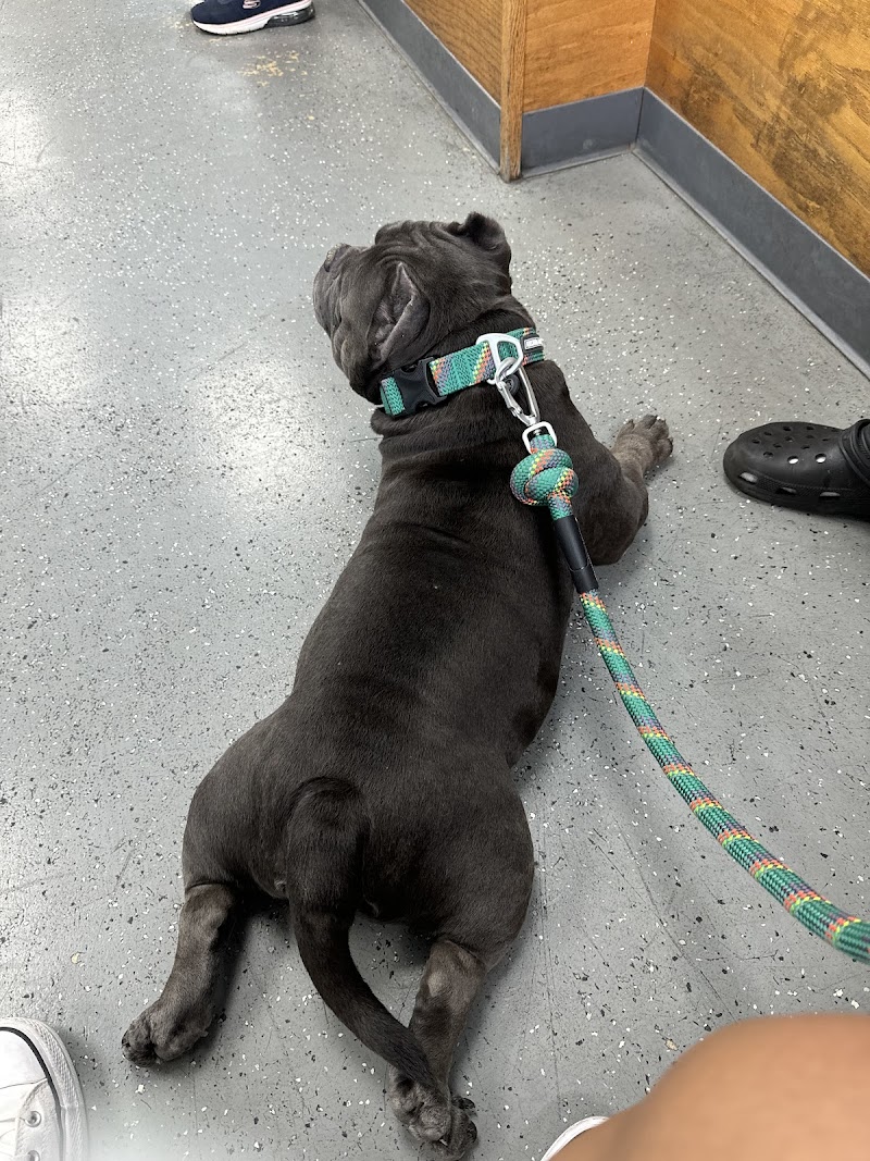 Pet Health Center