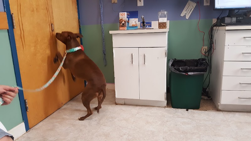 Pet Health Center