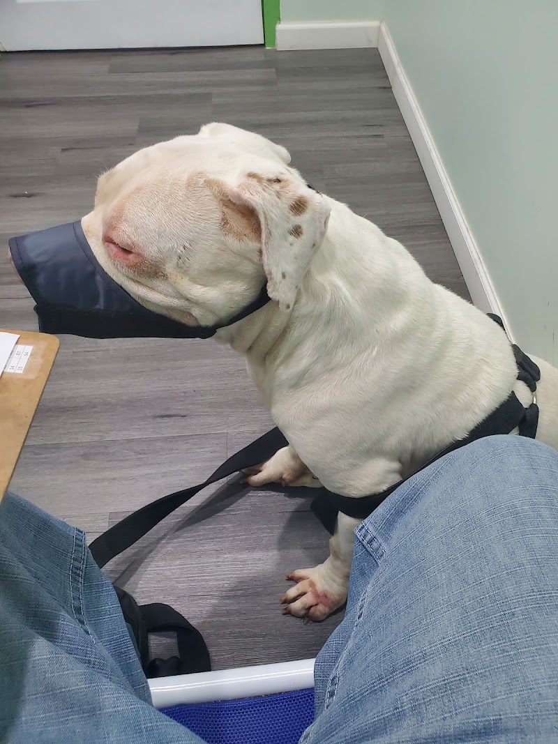 Pet Health Center