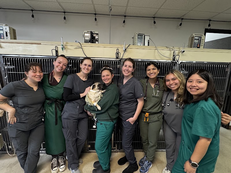 Central Texas Veterinary Speciality and Emergency Hospital - Austin