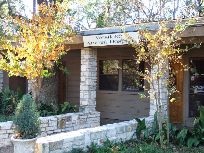 Westlake Animal Hospital, A Thrive Pet Healthcare Partner