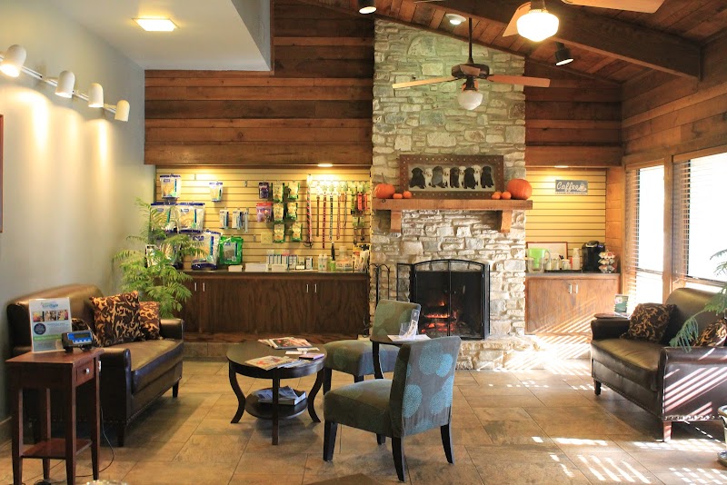 Westlake Animal Hospital, A Thrive Pet Healthcare Partner