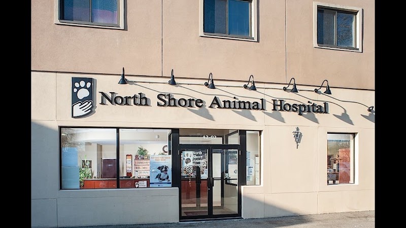 North Shore Animal Hospital
