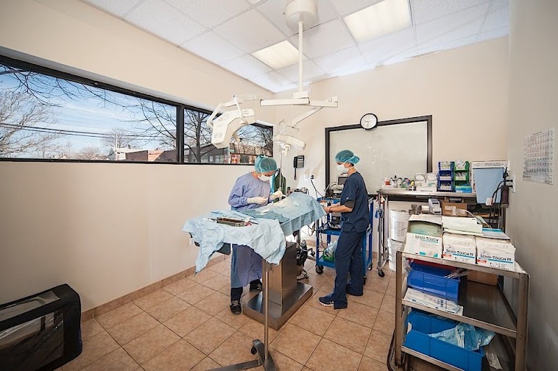 North Shore Animal Hospital