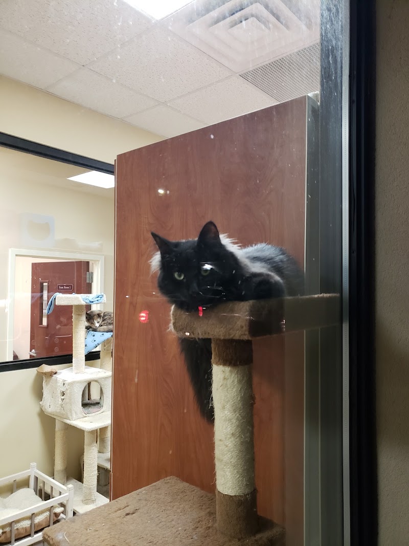 North Shore Animal Hospital