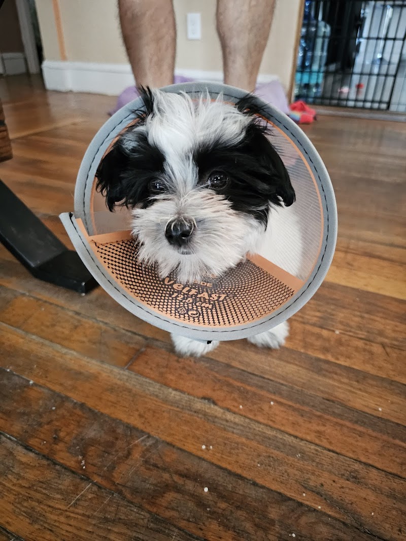 Veterinary Urgent Care Center - East Providence