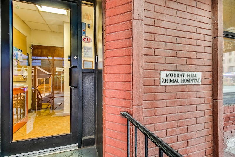 Murray Hill Pet Hospital