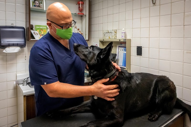 Murray Hill Pet Hospital