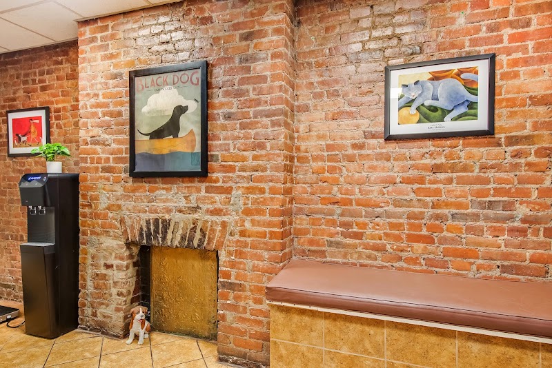 Murray Hill Pet Hospital