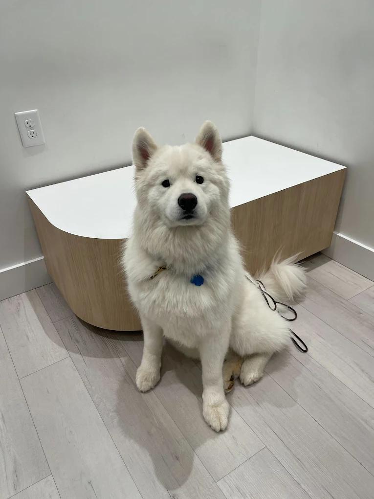 Petfolk Veterinary & Urgent Care - Vintage Park