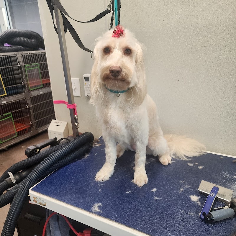 Huebner Oaks Veterinary Hospital