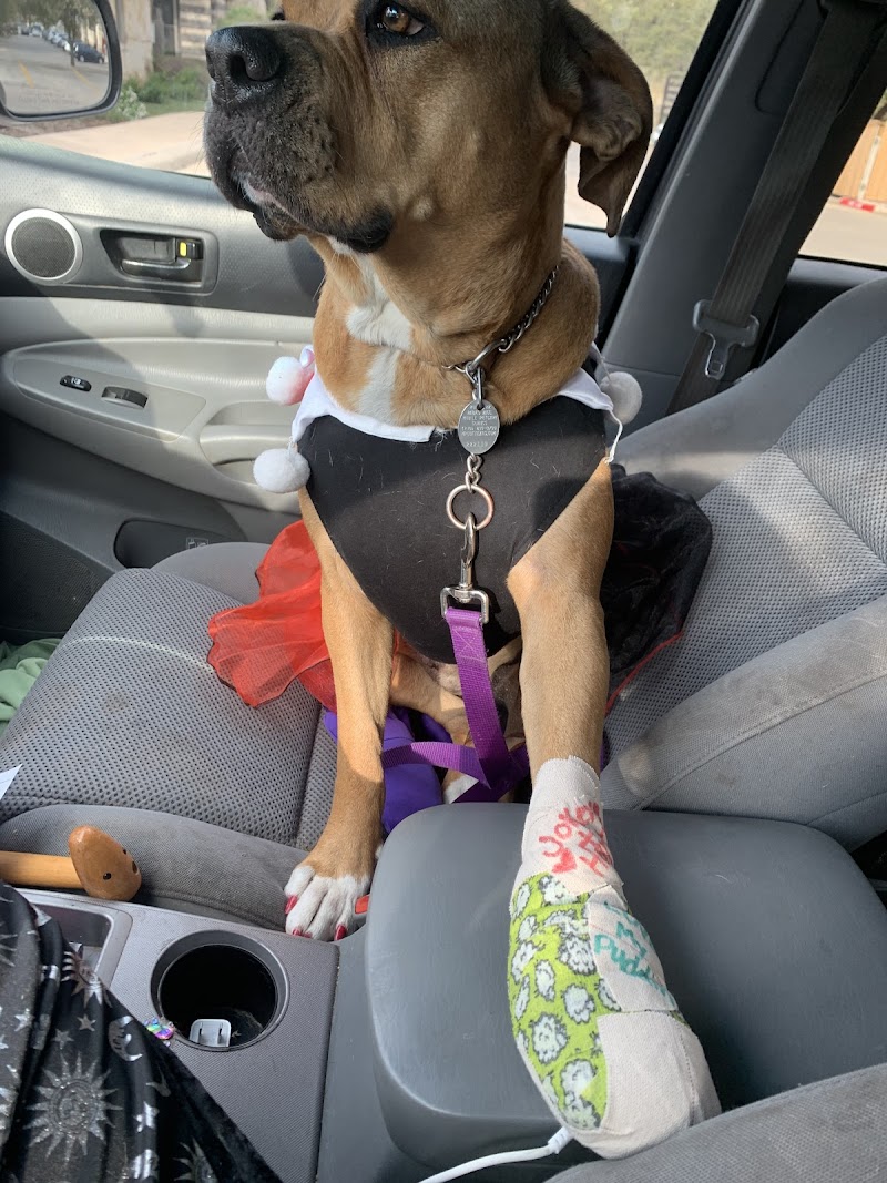 Huebner Oaks Veterinary Hospital