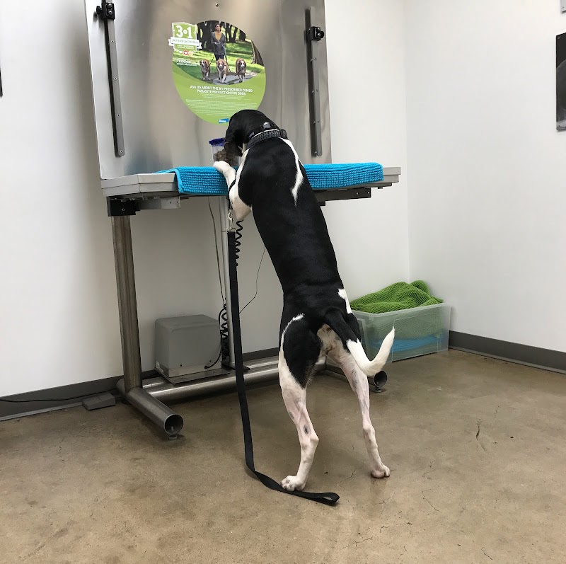 VCA Bay Park Animal Hospital