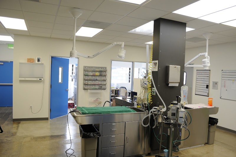 VCA Bay Park Animal Hospital