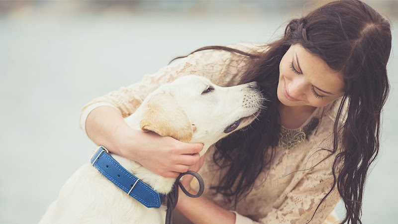 VCA Bay Park Animal Hospital
