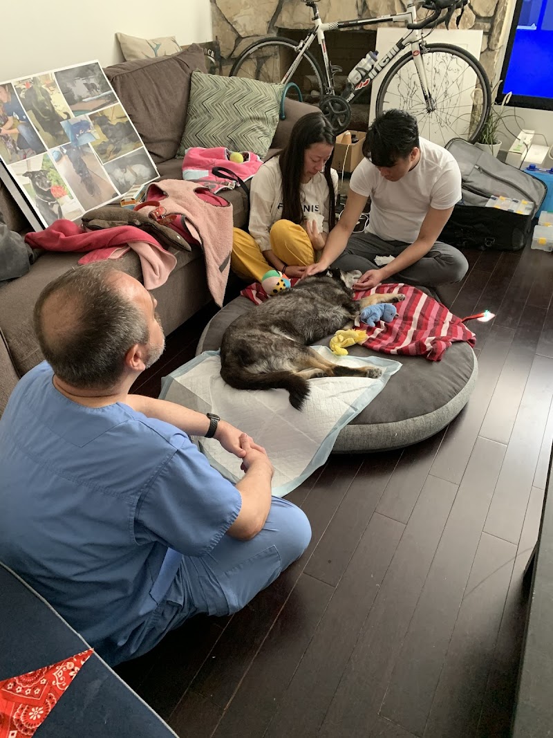 Home Pet Doctor