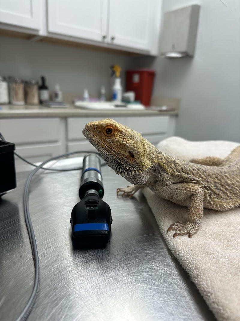 Summertree Animal & Bird Clinic