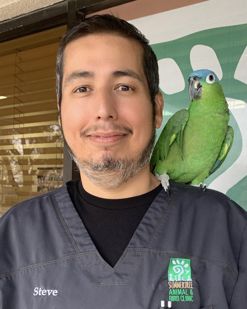 Summertree Animal & Bird Clinic