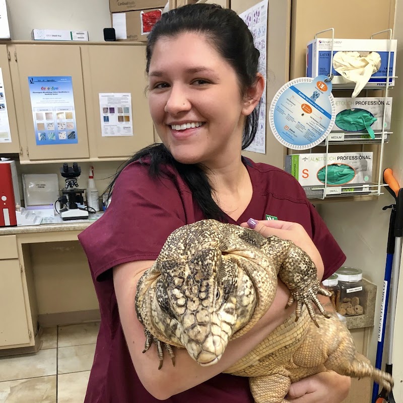 Summertree Animal & Bird Clinic