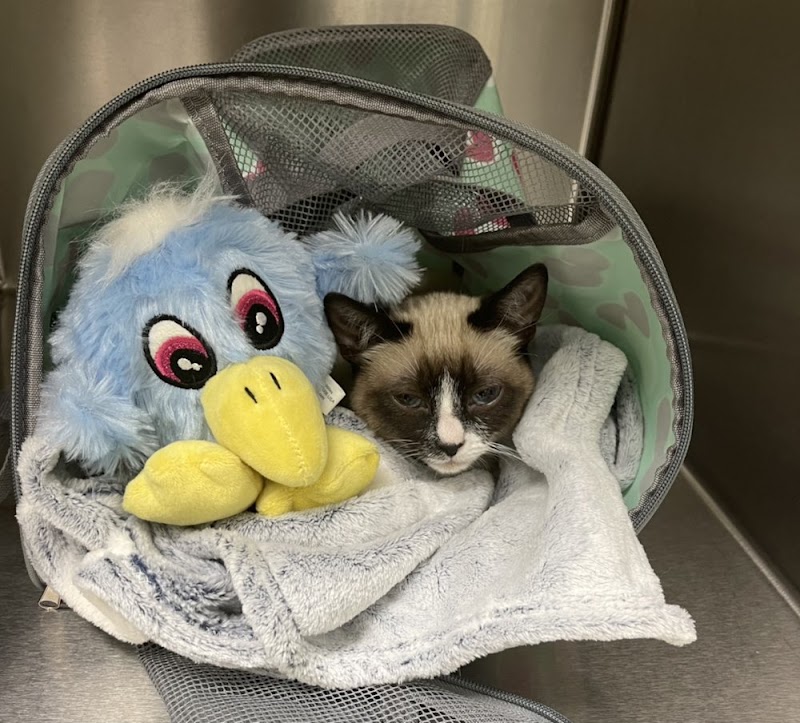 Parkview Pet Hospital - Long Beach
