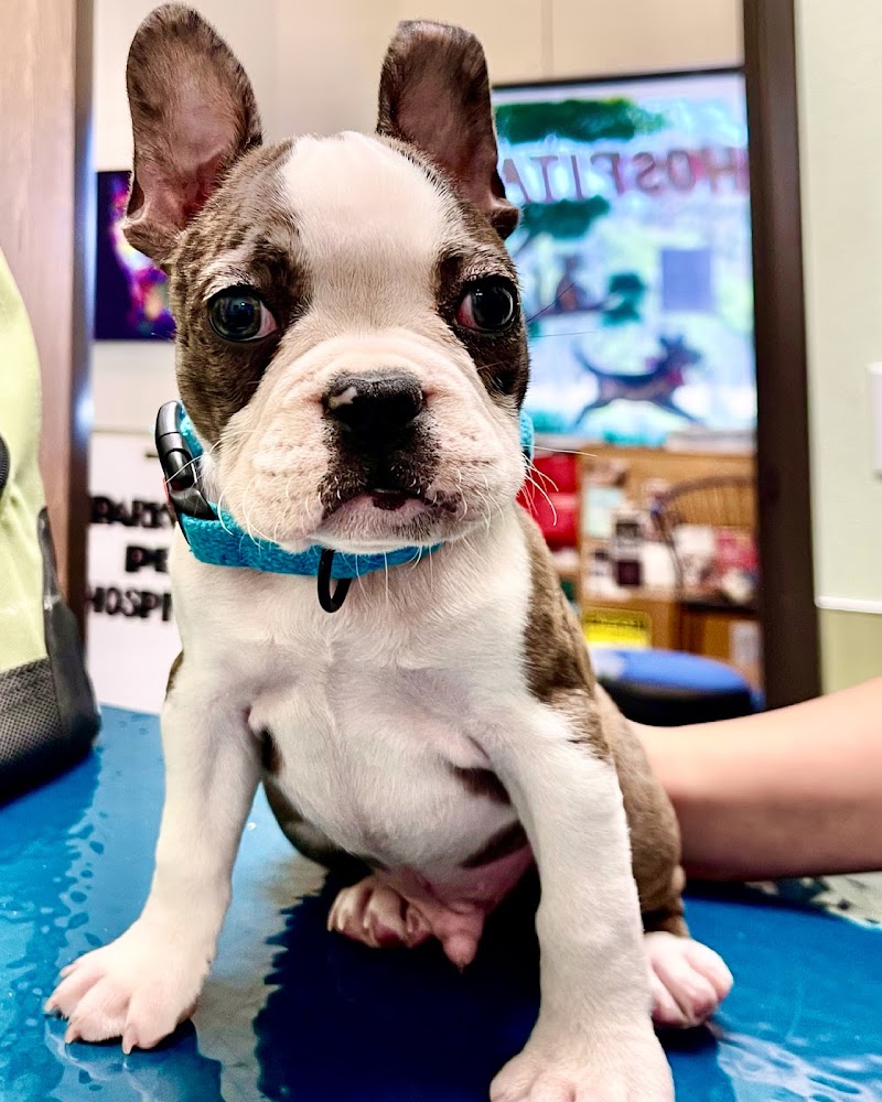 Parkview Pet Hospital - Long Beach