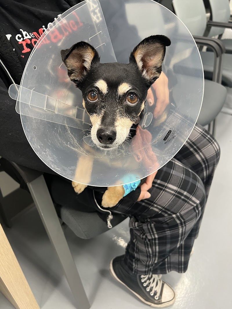 Fountain Valley Emergency Pet Hospital
