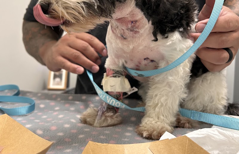Fountain Valley Emergency Pet Hospital