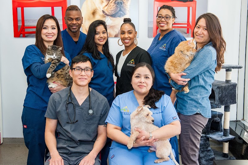 Seaport Animal Hospital