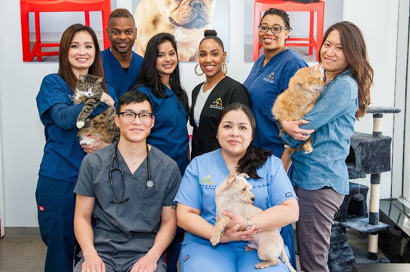Seaport Animal Hospital