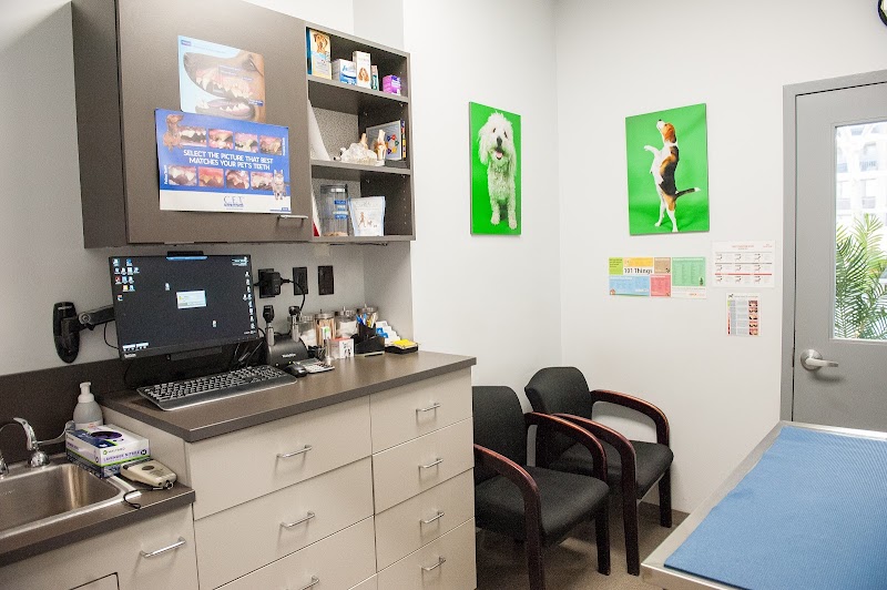 Seaport Animal Hospital