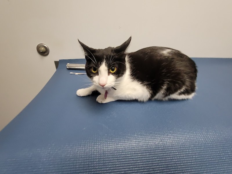 Seaport Animal Hospital