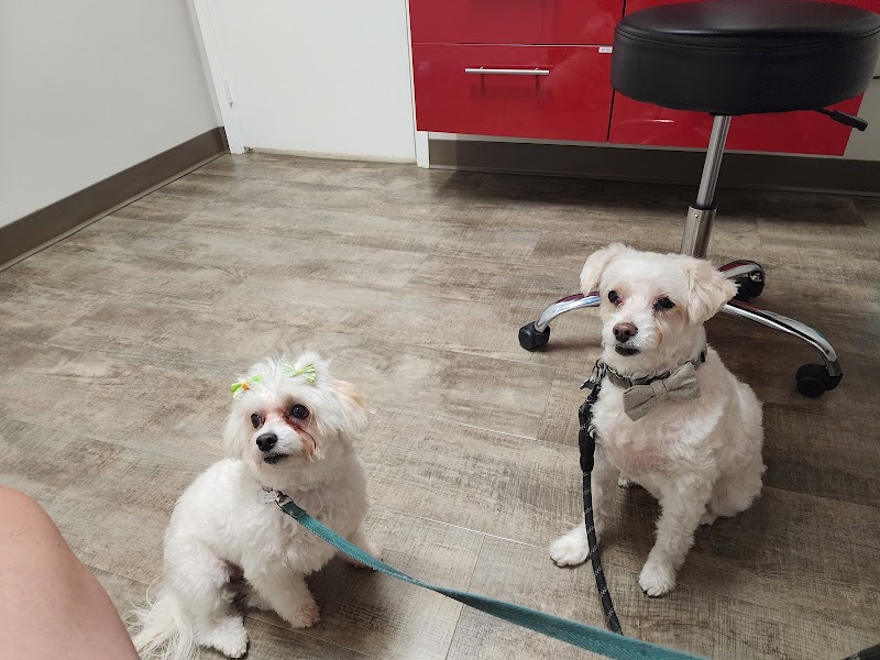 Richmond Avenue Animal Hospital