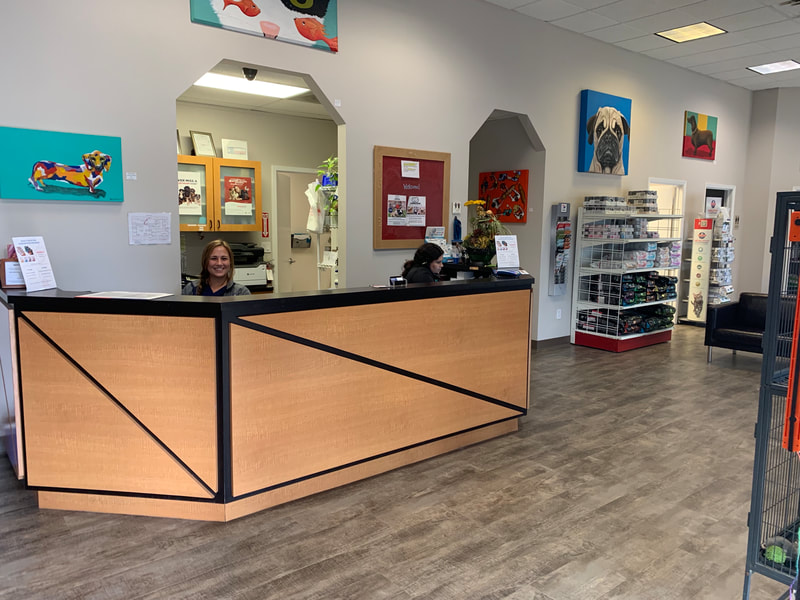 Richmond Avenue Animal Hospital