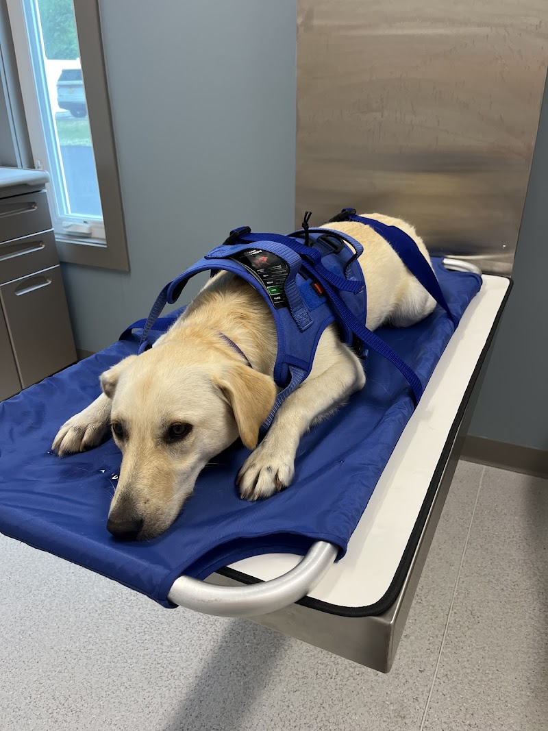 Red Bank Veterinary Hospital - Mt. Laurel