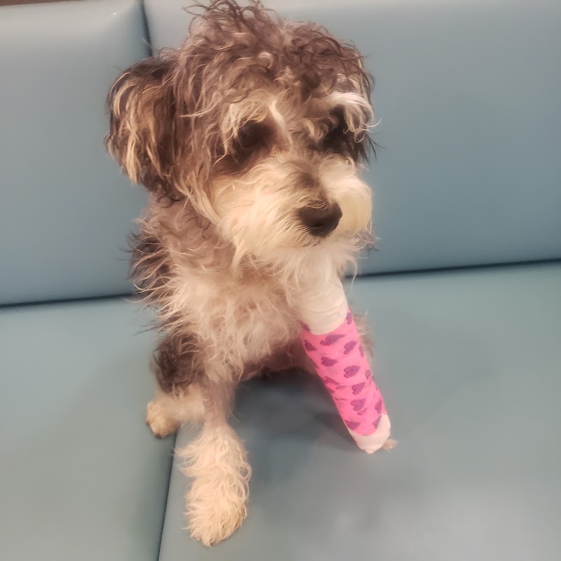 Red Bank Veterinary Hospital - Mt. Laurel