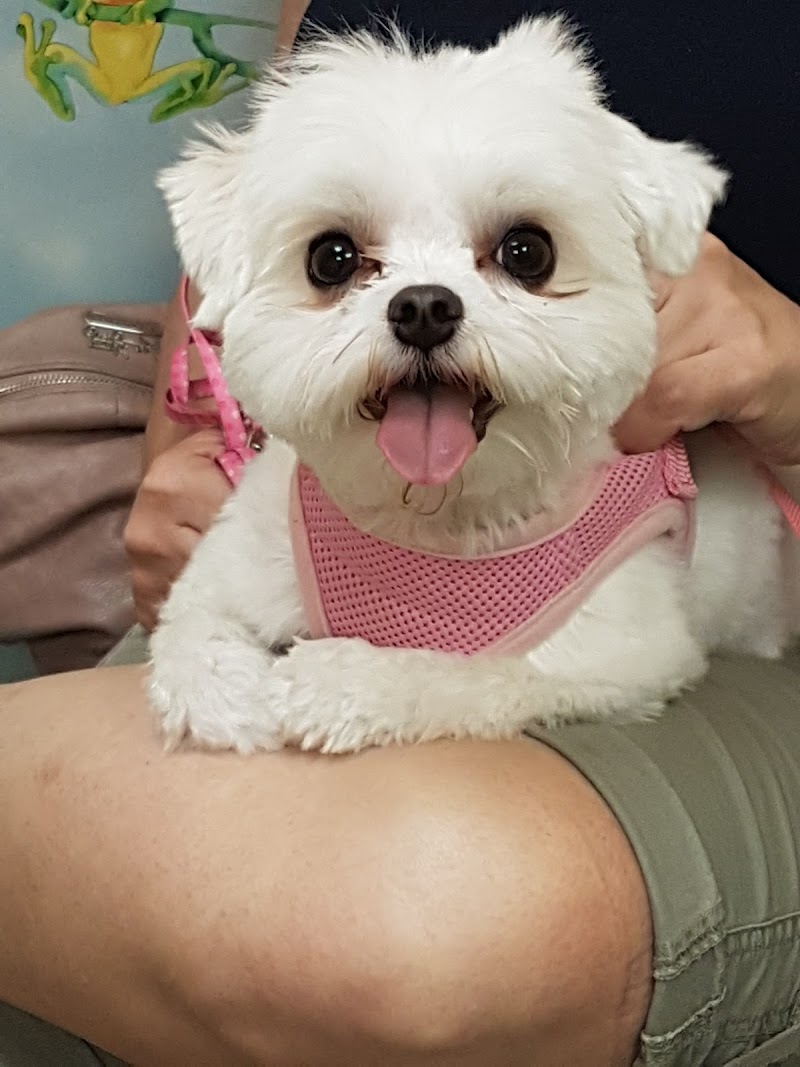 Raritan Animal Hospital