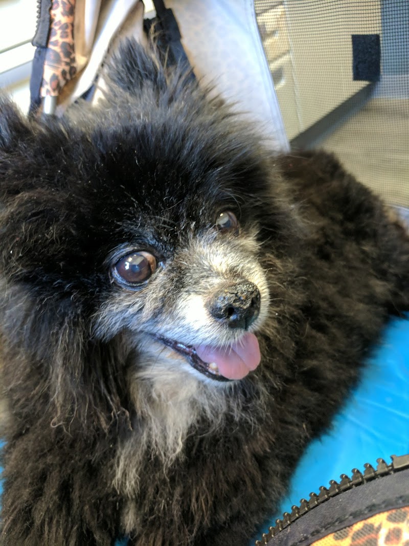 Raritan Animal Hospital