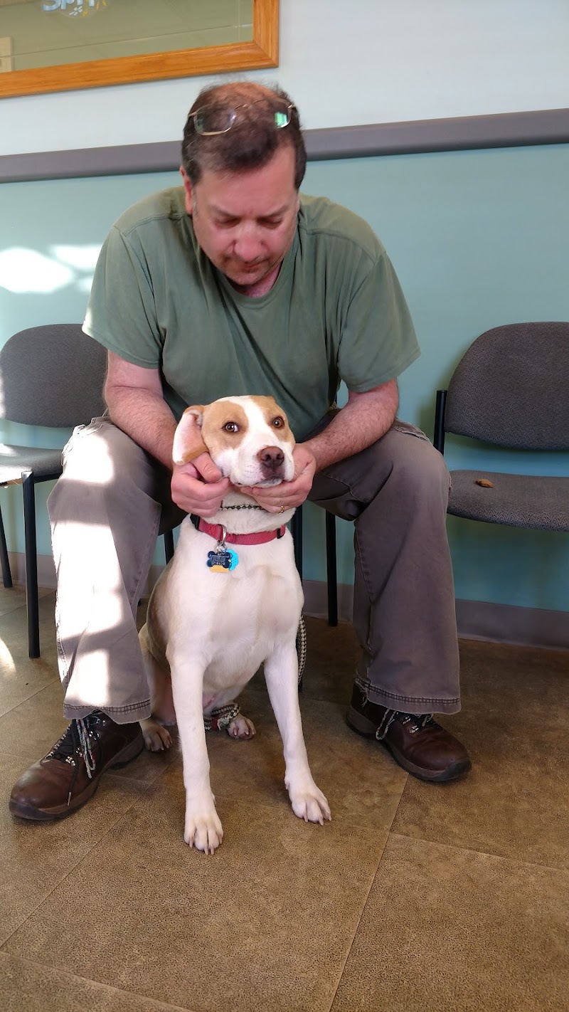 Raritan Animal Hospital