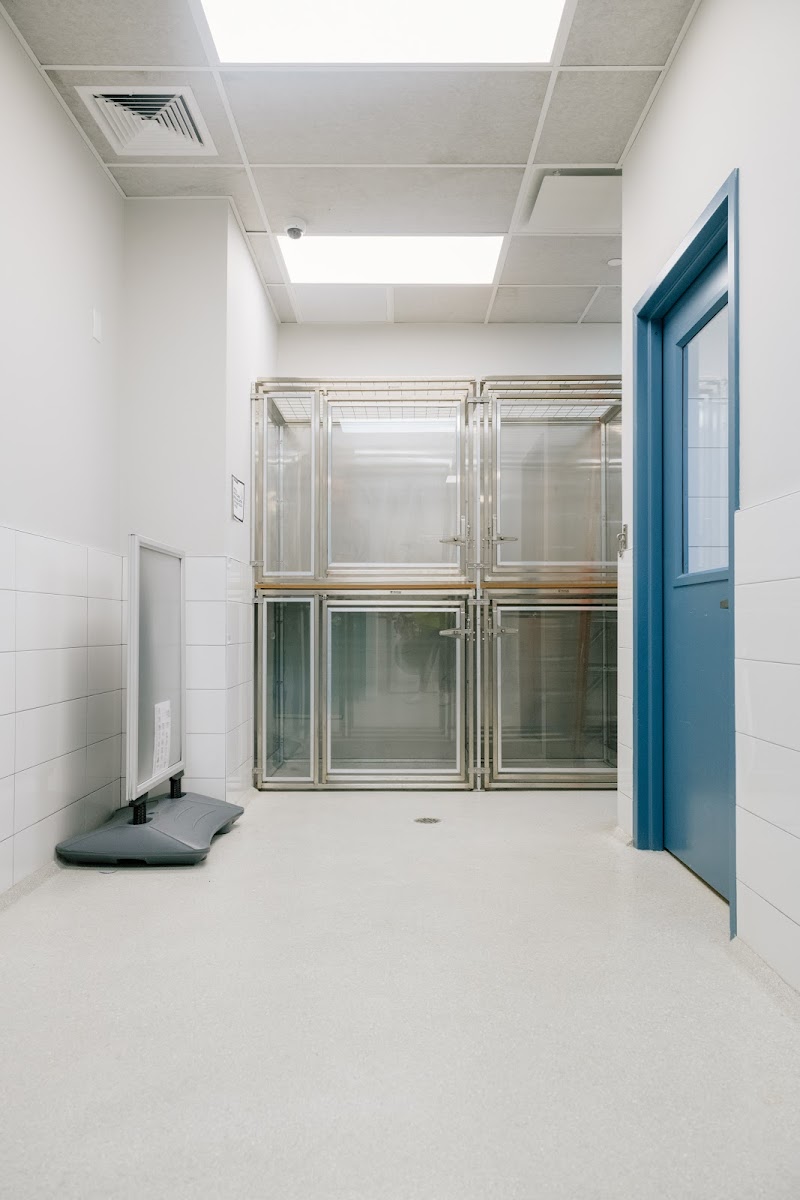 Pet Surgery Center of New York