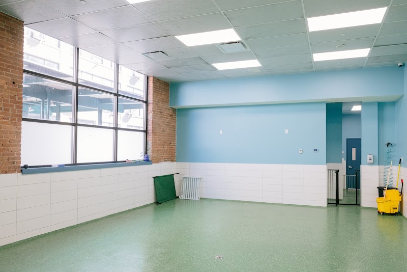 Pet Surgery Center of New York