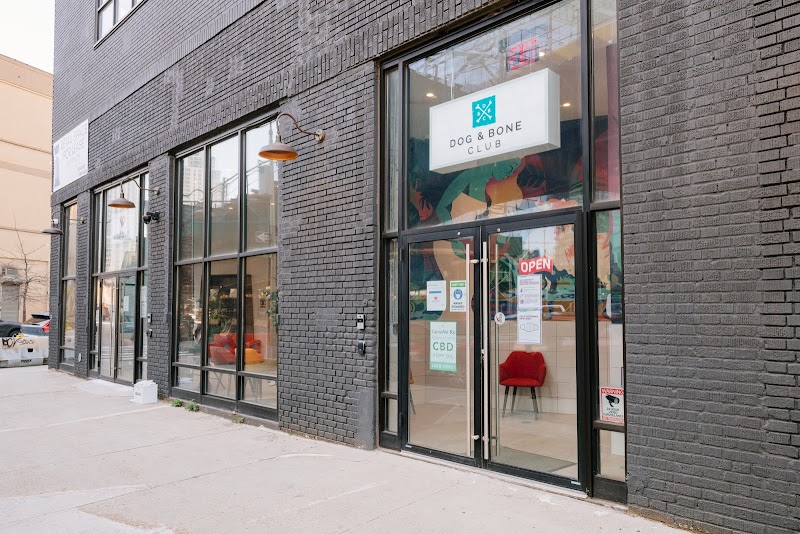 Pet Surgery Center of New York