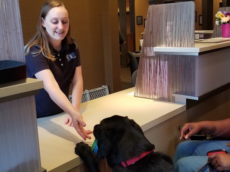 Veterinary Orthopedic & Sports Medicine Group