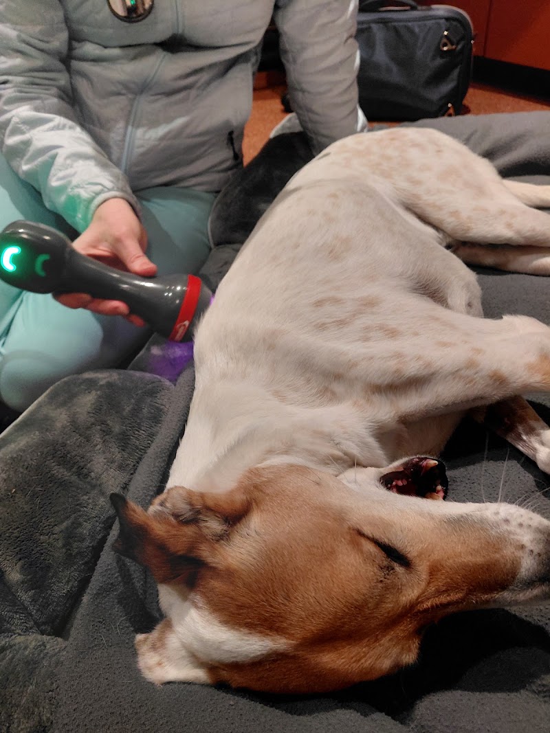 Veterinary Orthopedic & Sports Medicine Group - Annapolis Junction