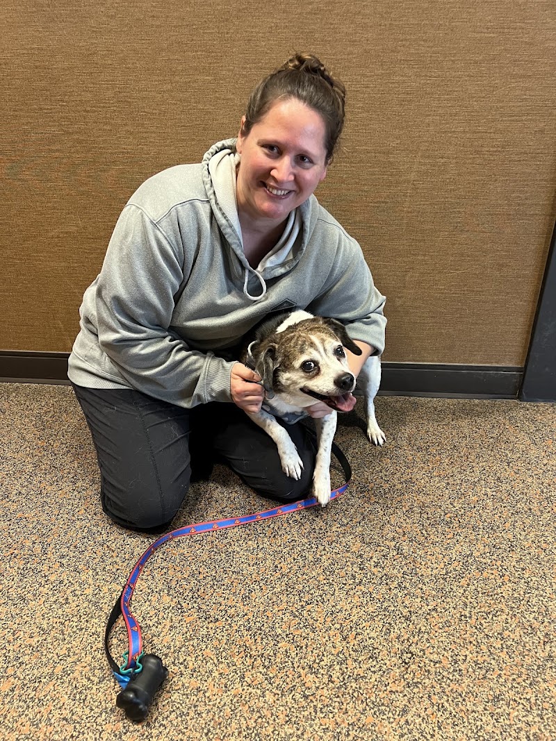 Veterinary Orthopedic & Sports Medicine Group