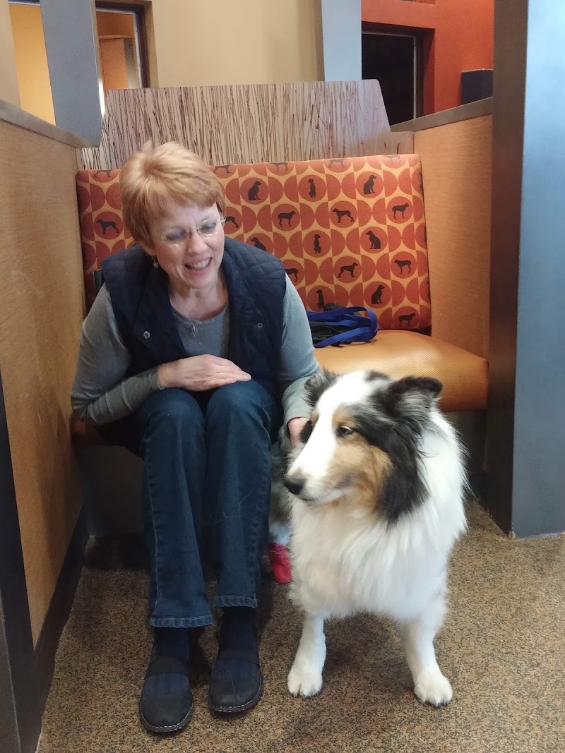 Veterinary Orthopedic & Sports Medicine Group