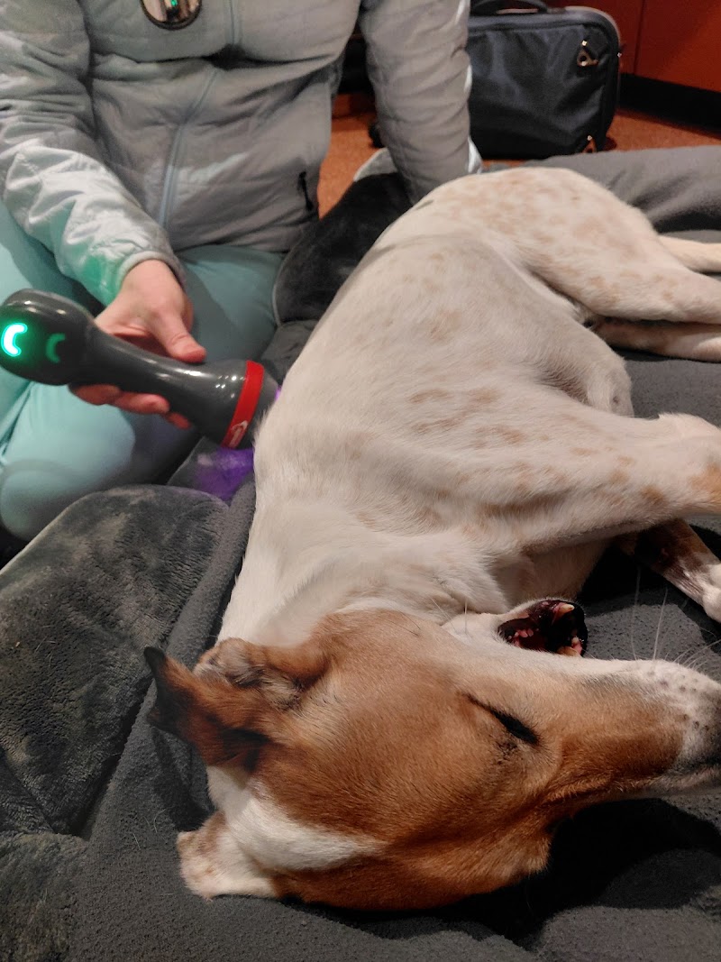 Veterinary Orthopedic & Sports Medicine Group - Philadelphia